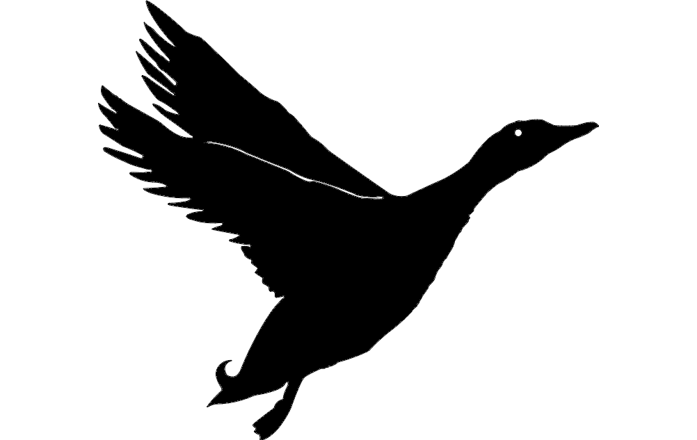1002x633 Duck Silhouette Graphic Design Vector