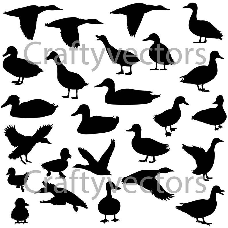 794x794 Duck Silhouettes Vector Etsy