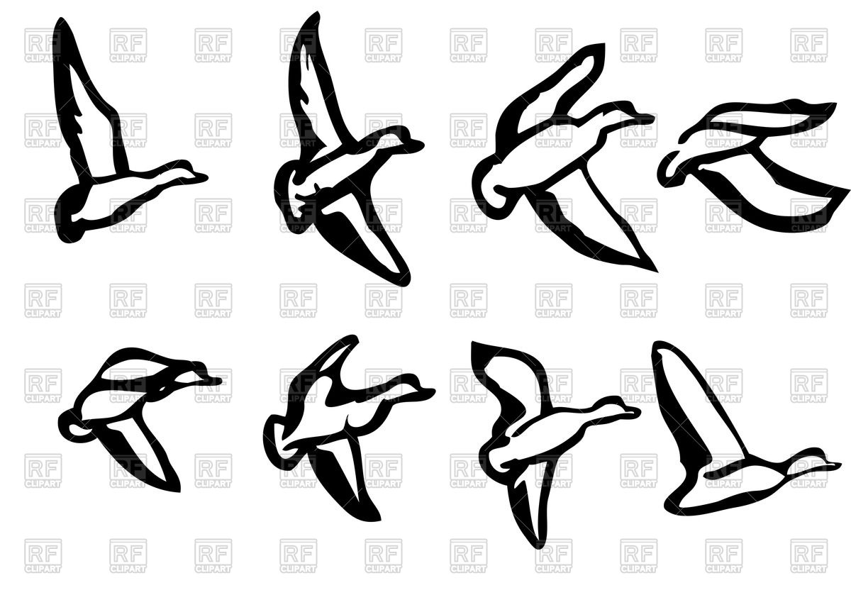 1200x839 Ducks Silhouette Vector Image Of Plants And Animals Arkela