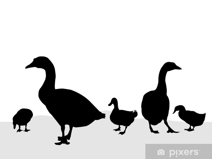 700x525 Goose Duck Silhouettes