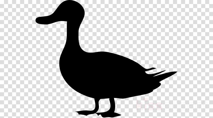 Duck Silhouette Vector at Vectorified.com | Collection of Duck ...