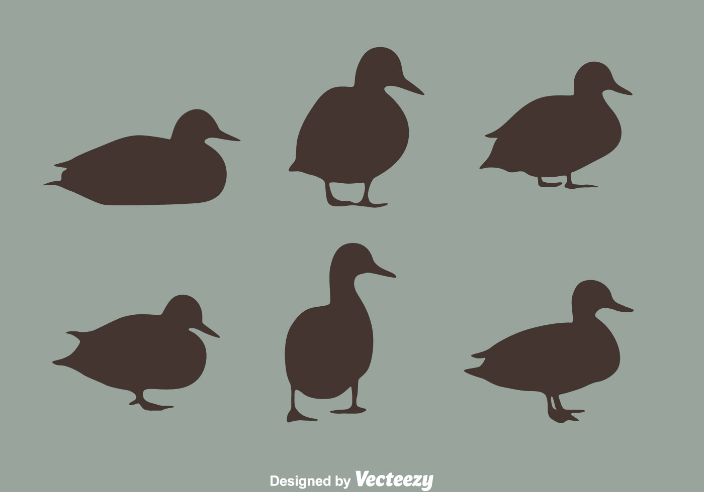 1400x980 Duck Free Vector Art