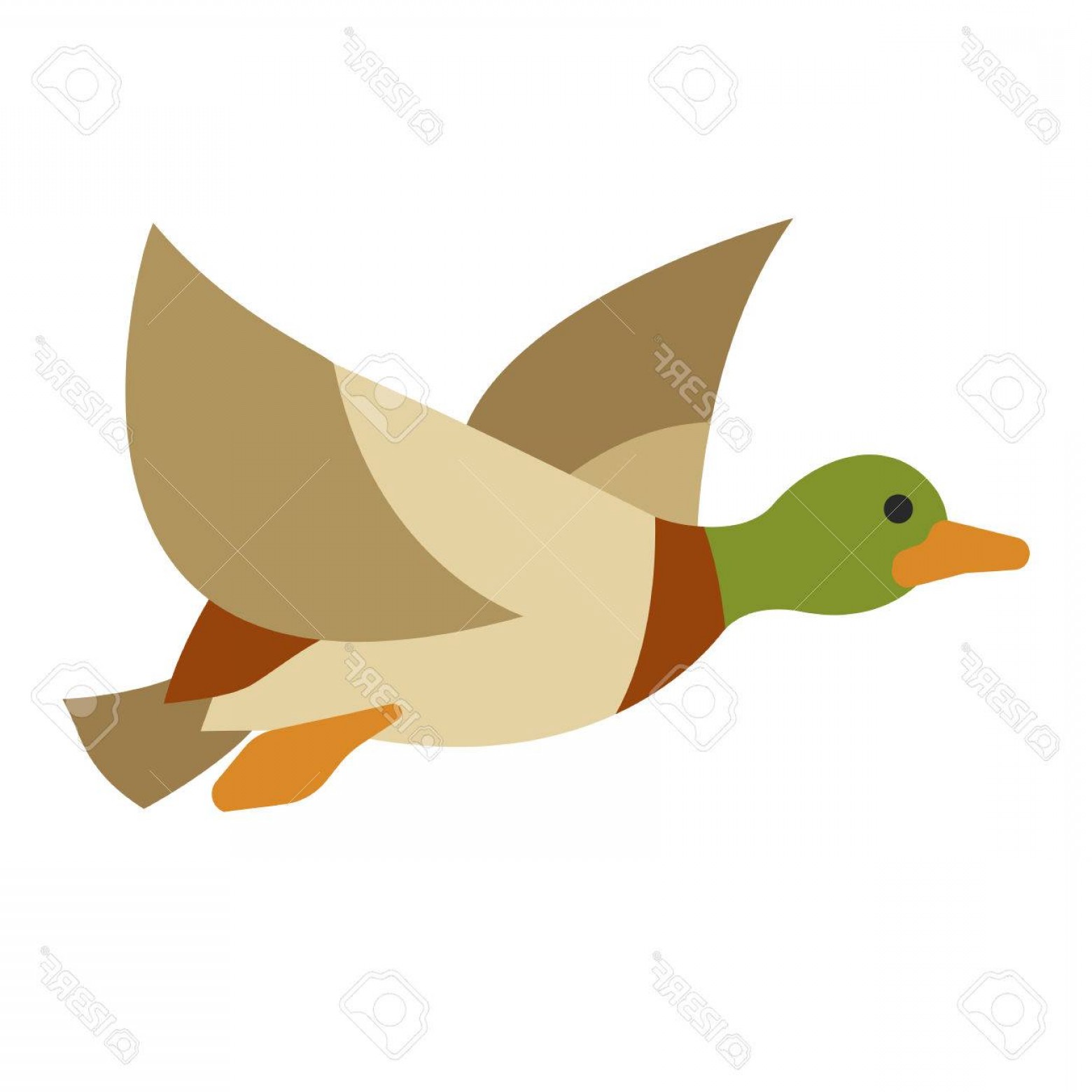 1560x1560 Photostock Vector Flying Duck Vector Duck Duck On Isolated