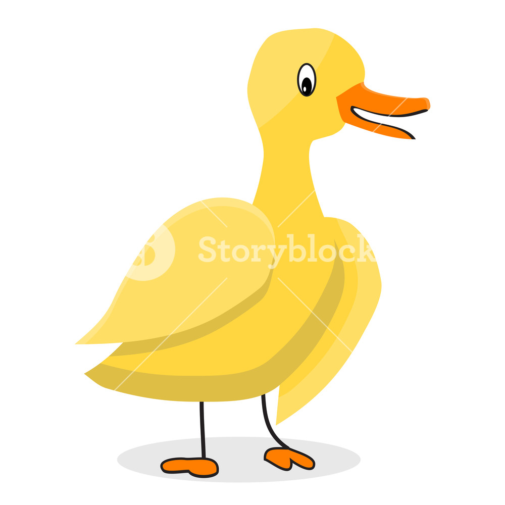 1000x1000 Cartoon Yellow Duck Duck Vector And Cartoon Animal, Cartoon Duck