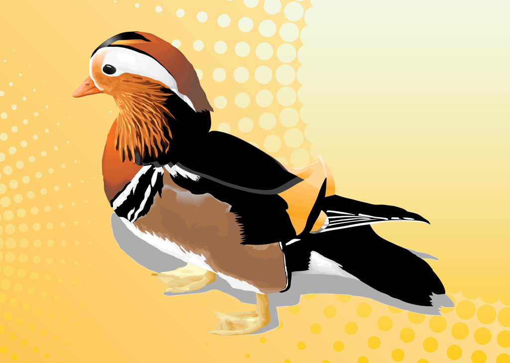 1024x730 Mandarin Duck Vector Vector Art Graphics