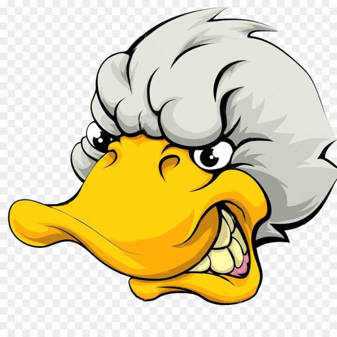 1080x1080 Donald Duck Vector Catamart