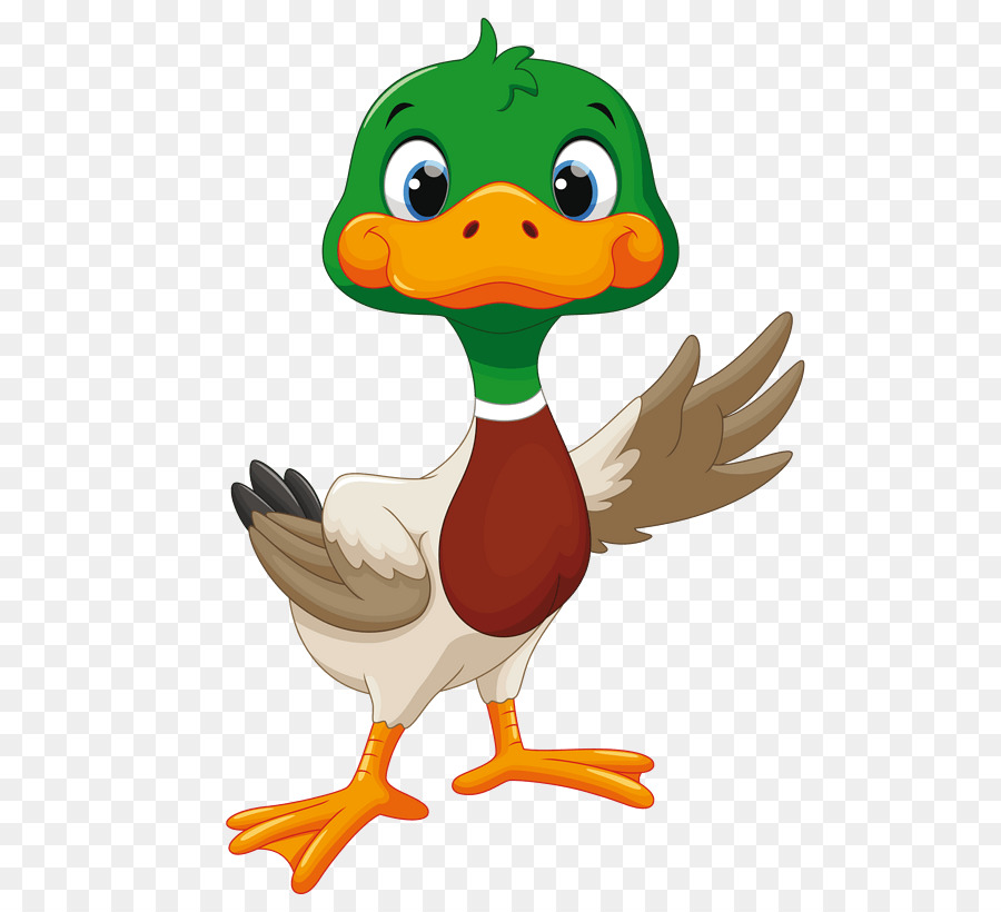 900x820 Duck Cartoon