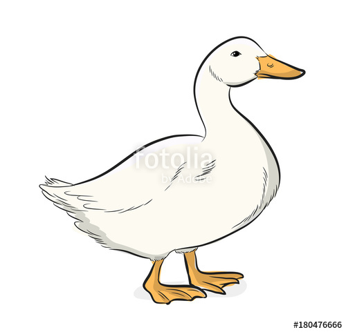 500x481 Cartoon Duck Vector Illustration Stock Image And Royalty Free