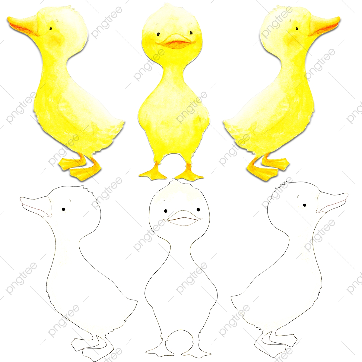 1200x1200 Small Yellow Duck Vector, Duck Vector, Duck, Toy Png And Vector