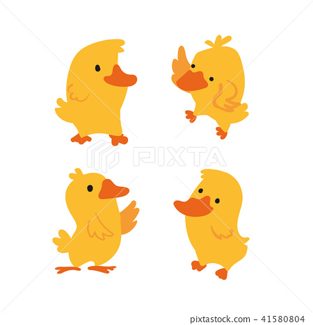 450x468 Duck Vector Character Design