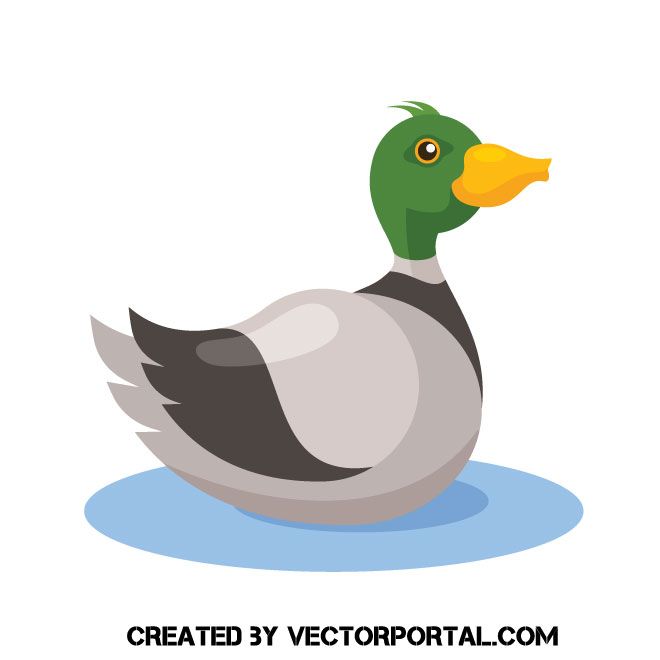 703 Duck vector images at Vectorified.com