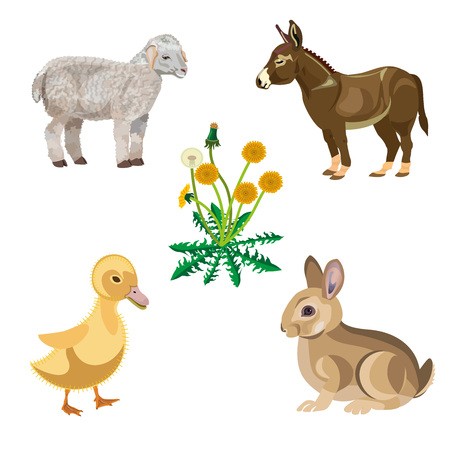 450x450 Happy Easter Theme With Rabbit, Donkey, Lamb And Duckling Vector