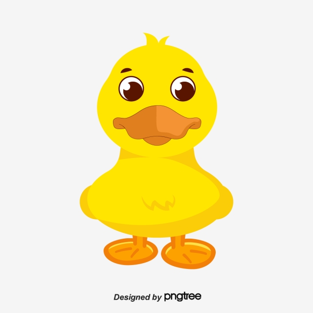 640x640 Lovely Yellow Duckling, Clip Art, Animal, Cartoon Png And Vector