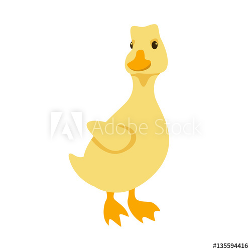 500x500 Duckling Vector Illustration Style Flat