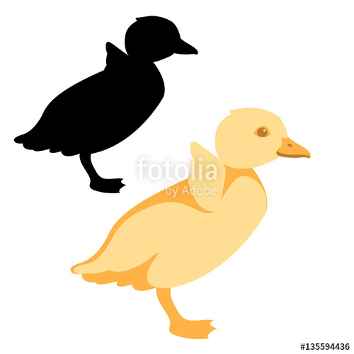 500x500 Duckling Vector Illustration Style Flat Silhouette Stock Image