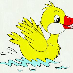 300x300 Catamart Creative Vector Illustrator