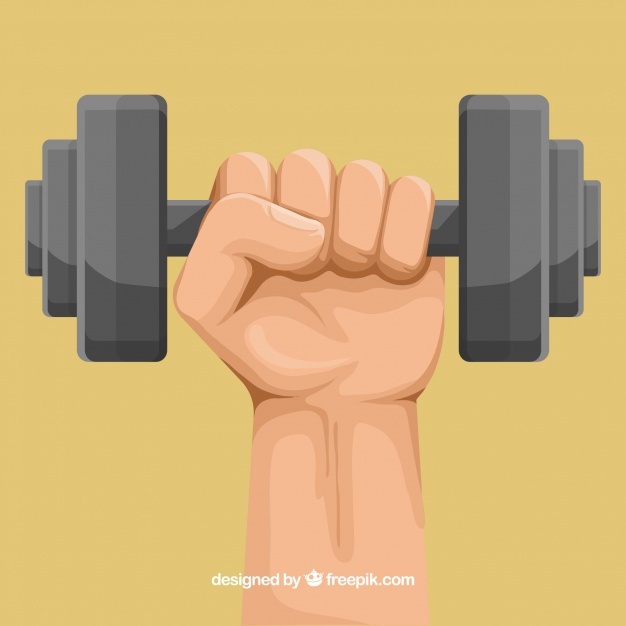 626x626 Dumbbell Vectors, Photos And Free Download