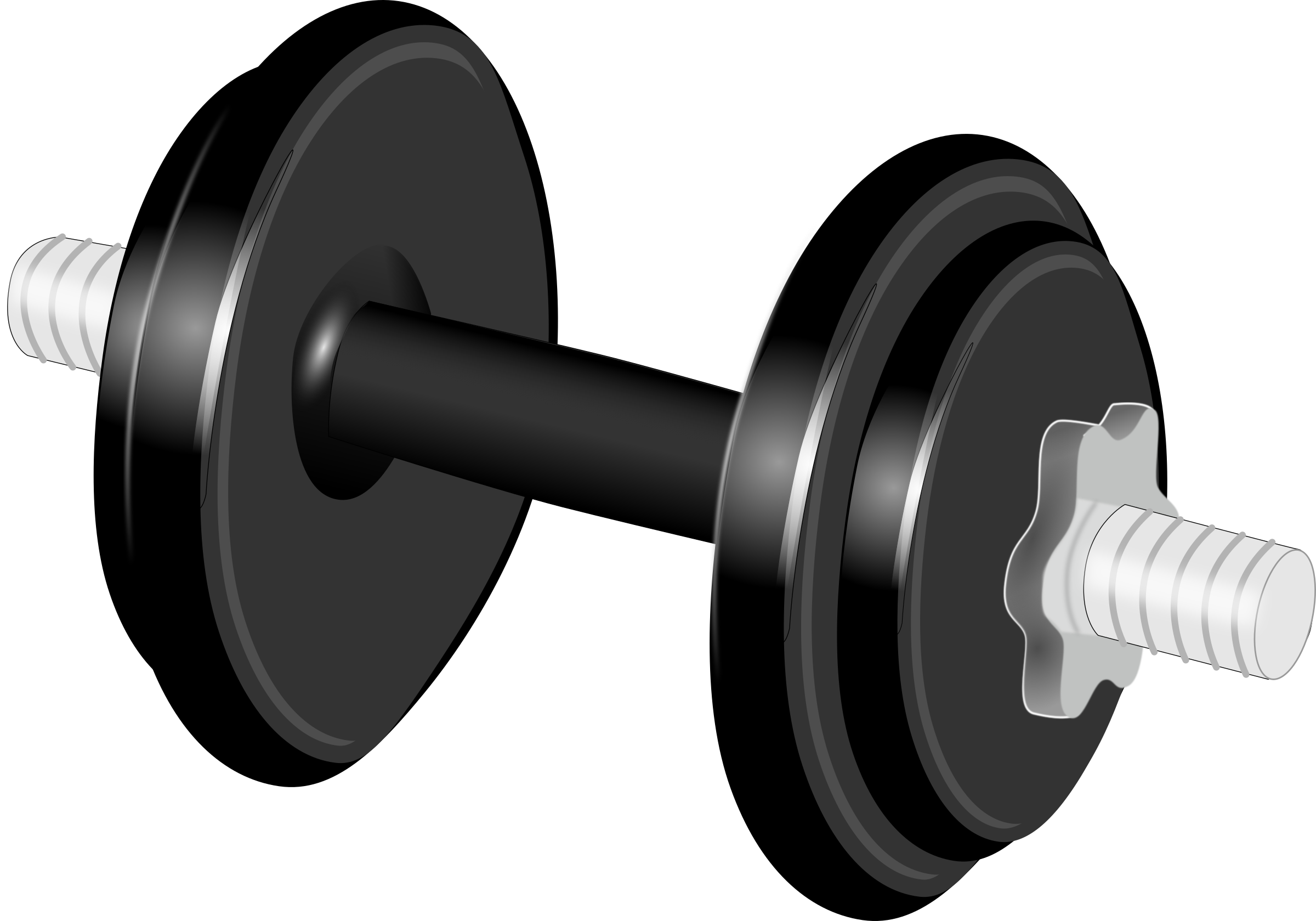 2400x1679 Dumbbells Vector Clipart Image