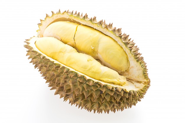626x417 Durian Vectors, Photos And Free Download