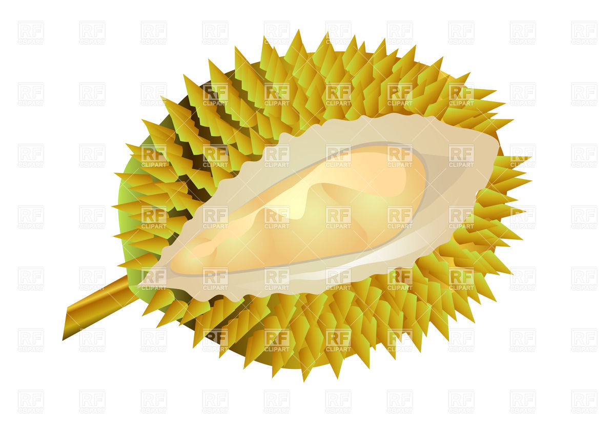 1200x849 Durian Fruit Vector Image Of Food And Beverages Arkela