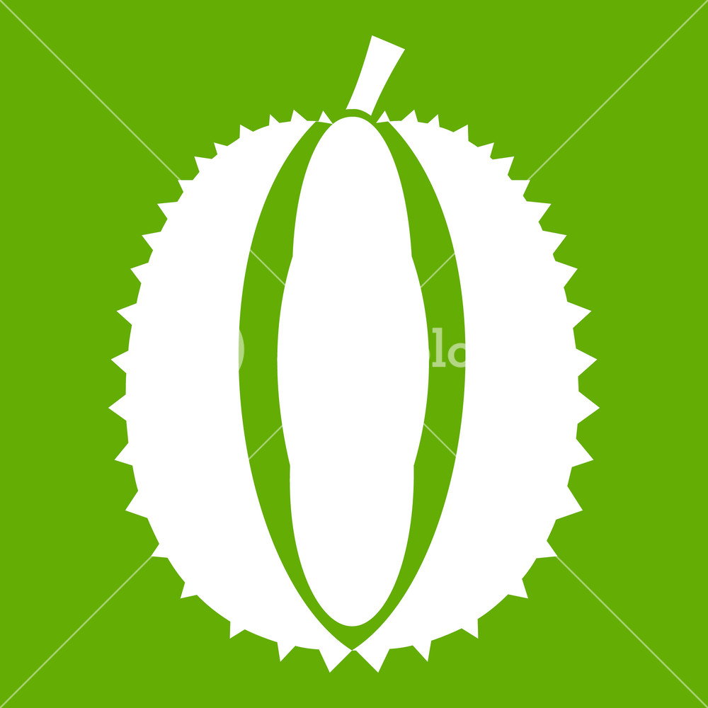 1000x1000 Durian Icon White Isolated On Green Background Vector