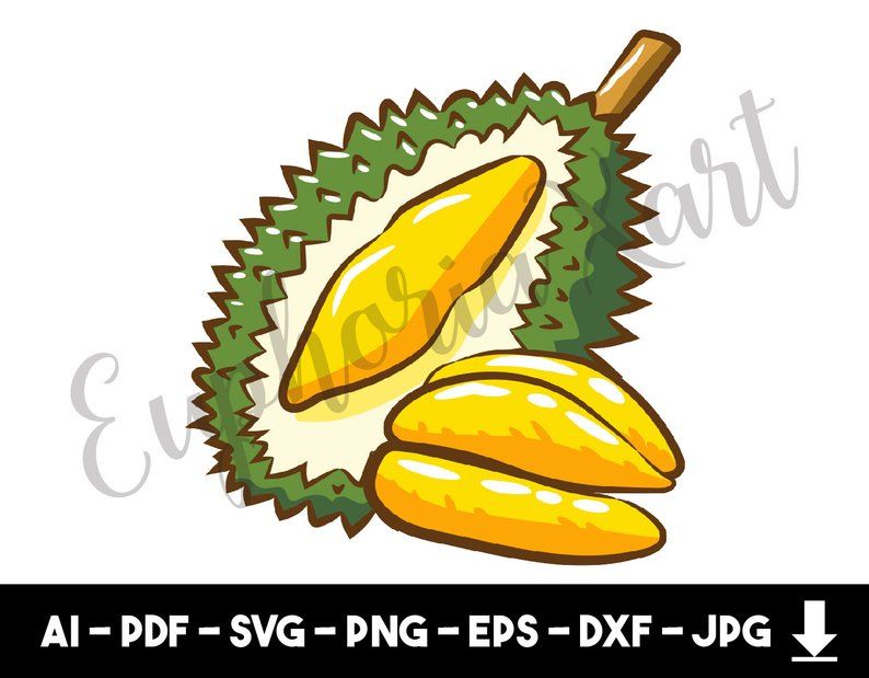 794x619 Durian Durian Cricut, Durian Cartoon, Durian Clipart
