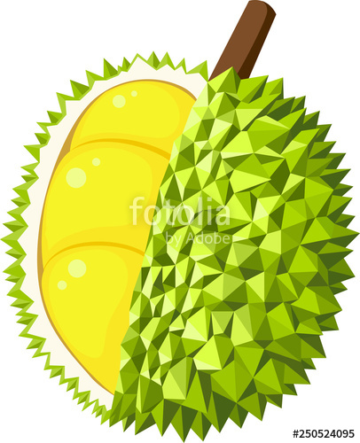 406x500 Durian Vector Stock Image And Royalty Free Vector