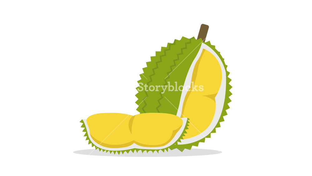 1000x563 Flat Durian And Cut Piece Vector With Isolated White Background