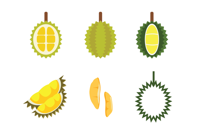700x490 Free Durian Vector I C O N