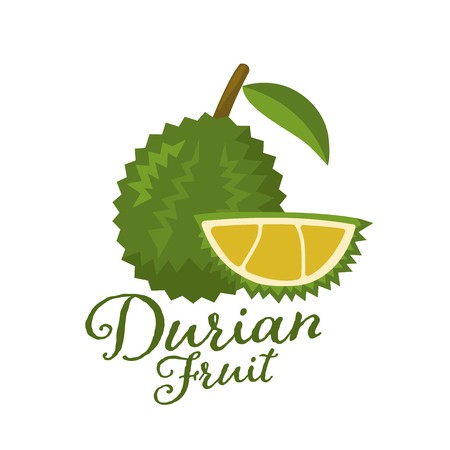 450x450 King Of Fruits, Durian Vector Illustration Royalty Free Vector