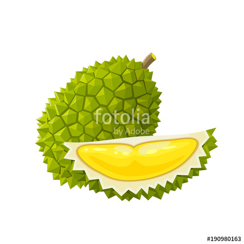 500x500 Summer Tropical Fruits For Healthy Lifestyle Durian, Whole Fruit
