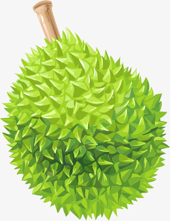 650x844 Cartoon Complete Durian, Cartoon Vector, Durian, Fruits Png