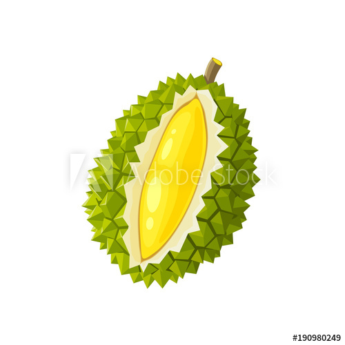 500x500 Summer Tropical Fruits For Healthy Lifestyle Durian Fruit Vector