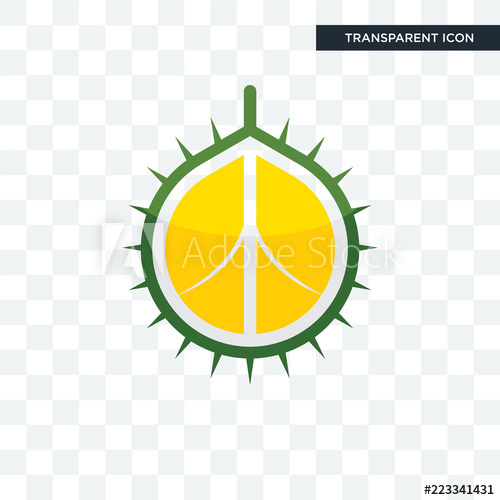 500x500 Durian Vector Icon Isolated On Transparent Background, Durian Logo