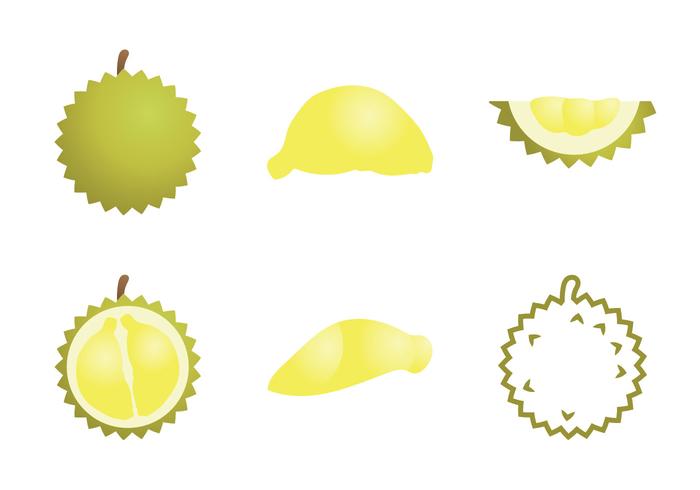 700x490 Durian Free Vector Art