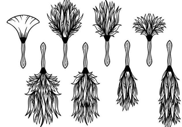 632x443 Free Feather Duster Vector Free Vector Download Cannypic