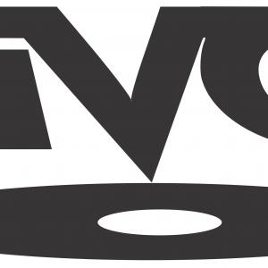 300x300 Dvd With Vector Logos Signs Vinyl Catamart