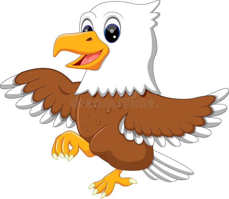 800x696 Download Cute Eagle Stock Vector Image Of Happy, Life, Feather