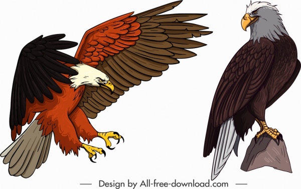600x377 Download Free Vector Eagle Icons Hunting Perching Gesture Sketch