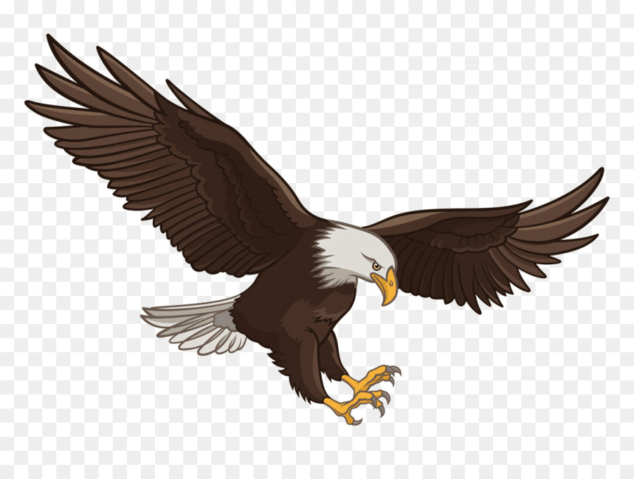 900x680 Eagle Cartoon
