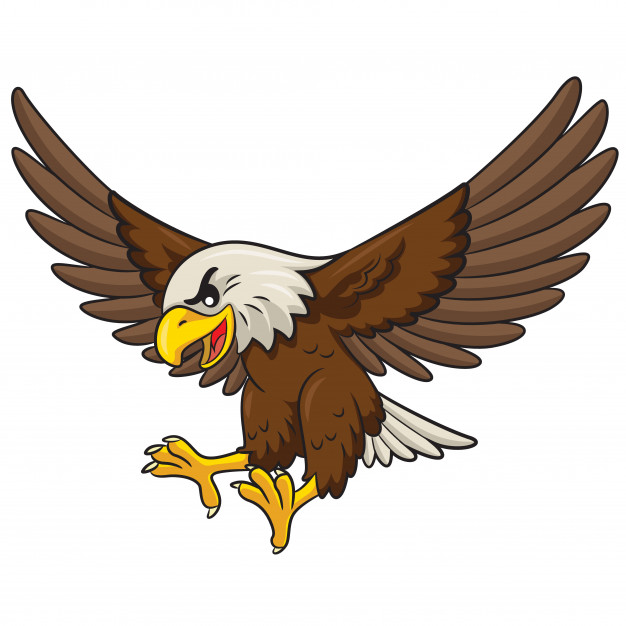 626x626 Eagle Cartoon Vector Premium Download