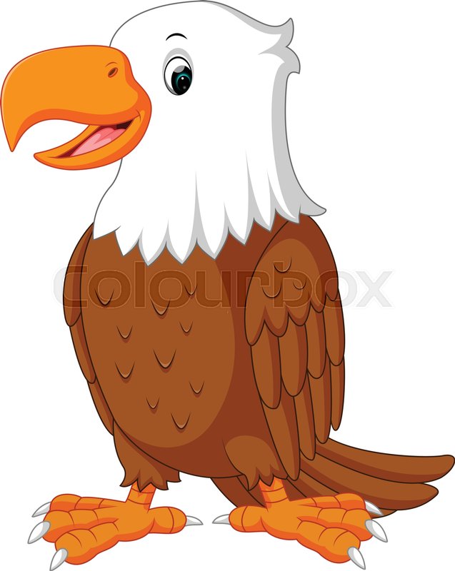 637x800 Illustration Of Cute Eagle Cartoon Stock Vector Colourbox