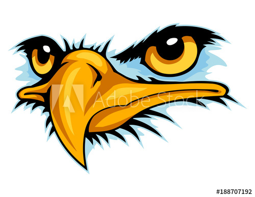 500x387 Bald Eagle Head Cartoon Vector Can Use For Sport Logo