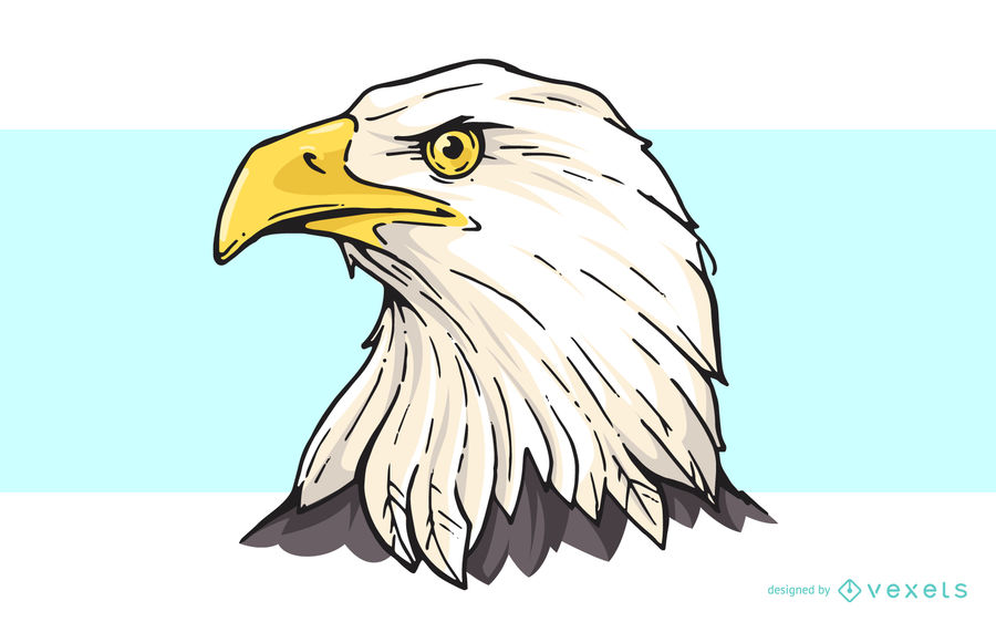 900x562 Bald Eagle Head Cartoon