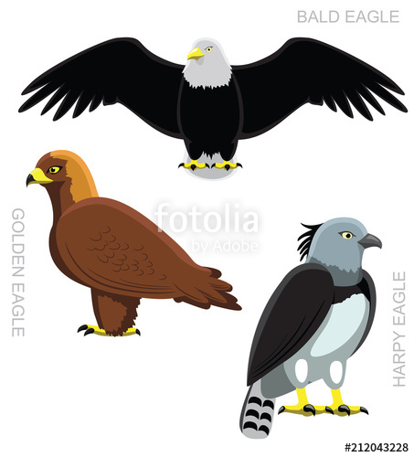 453x500 Bird Eagle Set Cartoon Vector Illustration Stock Image