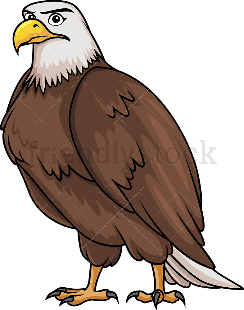 786x1000 Brave Bald Eagle Cartoon Clipart Vector