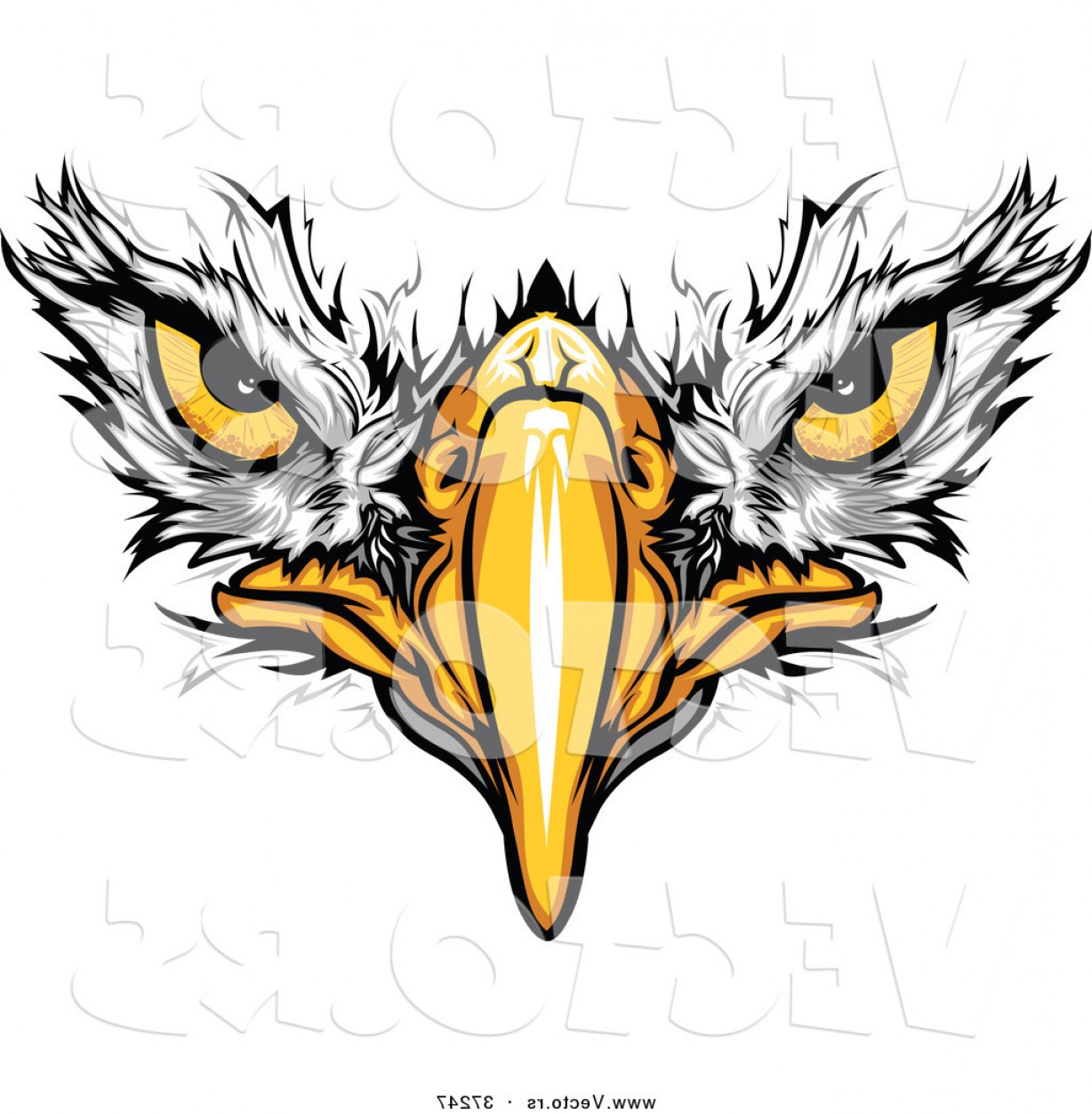 1228x1252 Cartoon Vector Of Bald Eagle Face With Fearless Eyes Intensely
