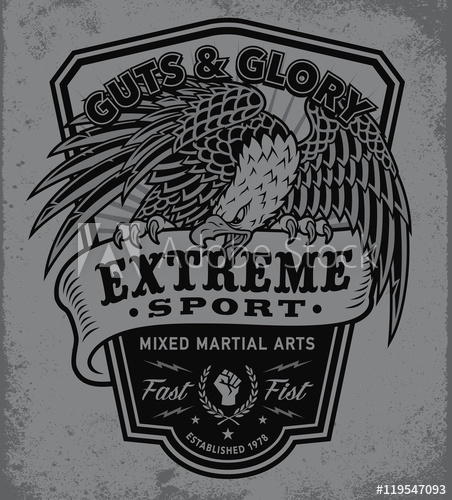 452x500 Extreme Sport Eagle Crest Shield T Shirt Graphic