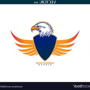 300x300 Bald Eagle With Shield Wings Logo Vector Hoodamathrun
