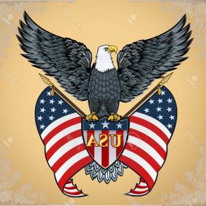 300x300 Catchsplace Vector Graphics Illustrator